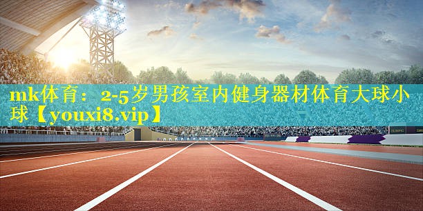 <strong>mk体育：2-5岁男孩室内健身器材体育大球小球</strong>