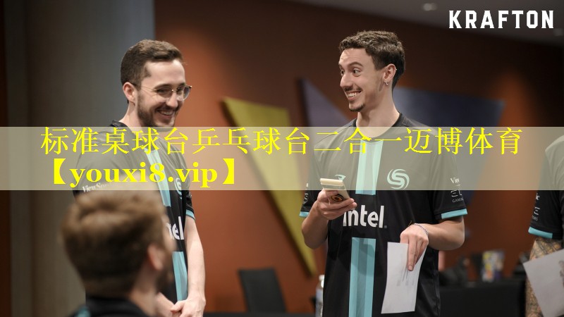 标准桌球台乒乓球台二合一迈博体育