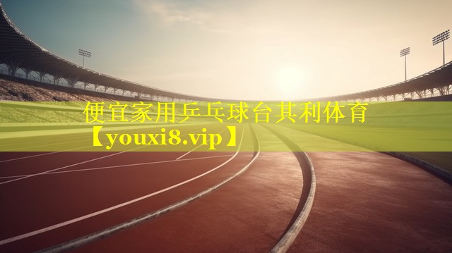 便宜家用乒乓球台其利体育