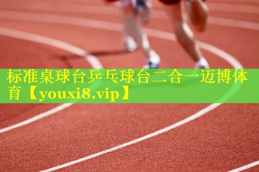 标准桌球台乒乓球台二合一迈博体育
