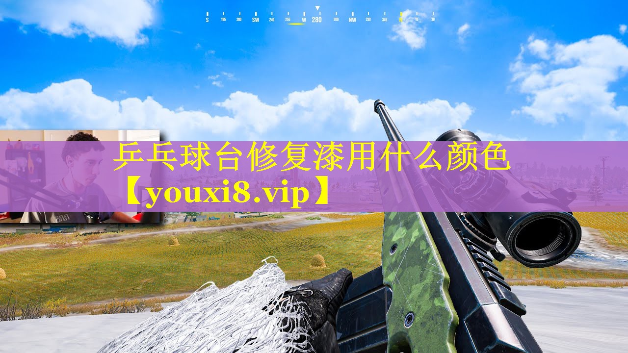 乒乓球台修复漆用什么颜色