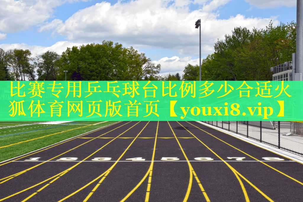 比赛专用乒乓球台比例多少合适火狐体育网页版首页