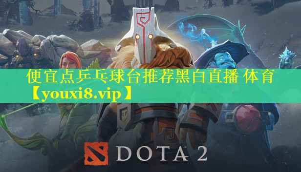便宜点乒乓球台推荐黑白直播 体育
